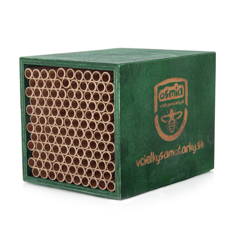 Bee home S Klasik NPT