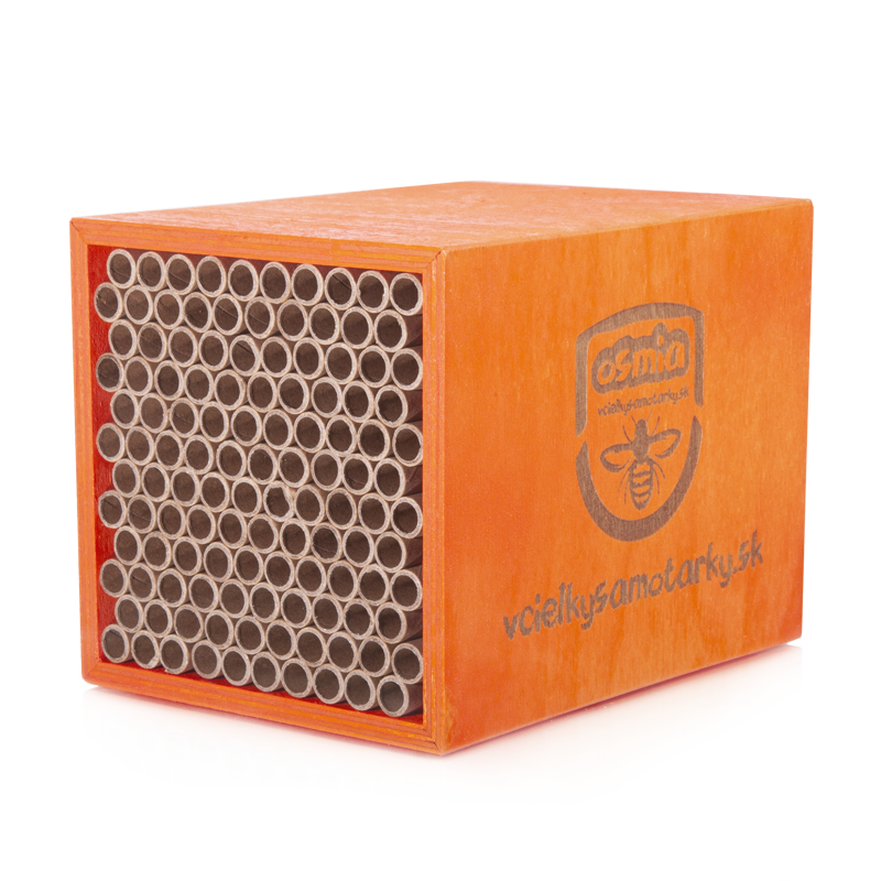 Bee home S Klasik NPT
