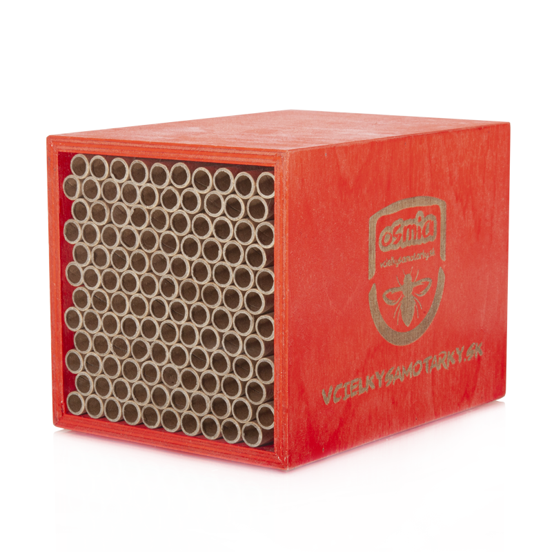 Bee home S Klasik NPT