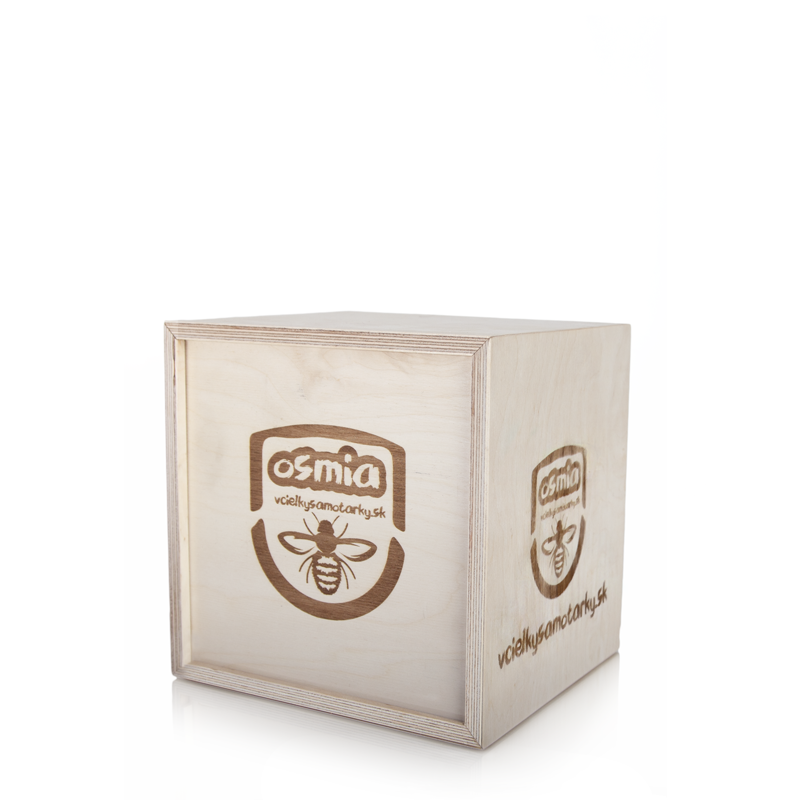 Bee Home M Deluxe