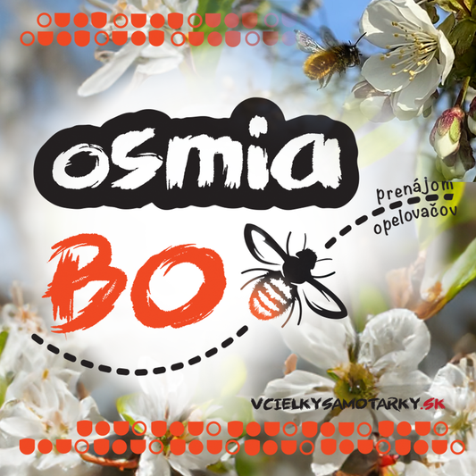 Osmia Box S - prenájom