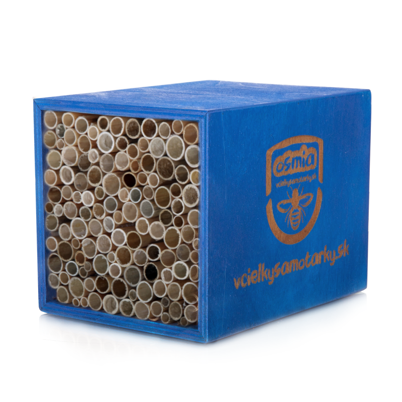 Bee home XS Klasik NRT