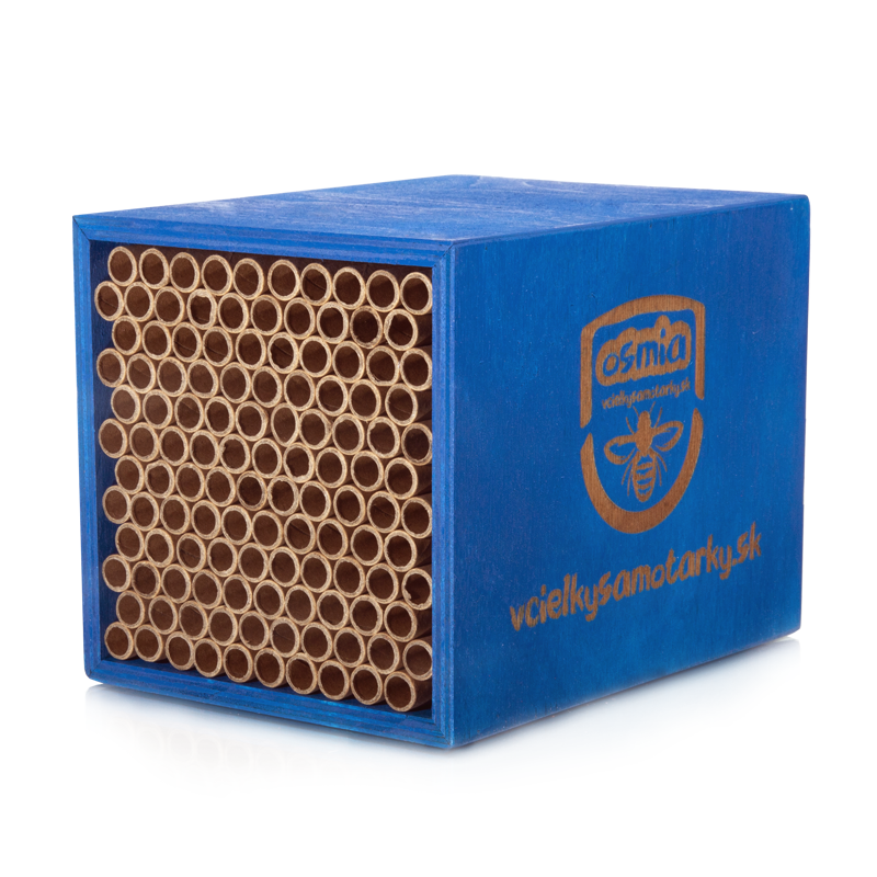 Bee home S Klasik NPT