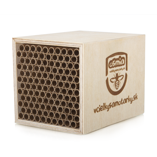 Bee home S Klasik NPT