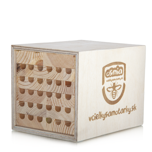 Bee home XS Klasik NWB