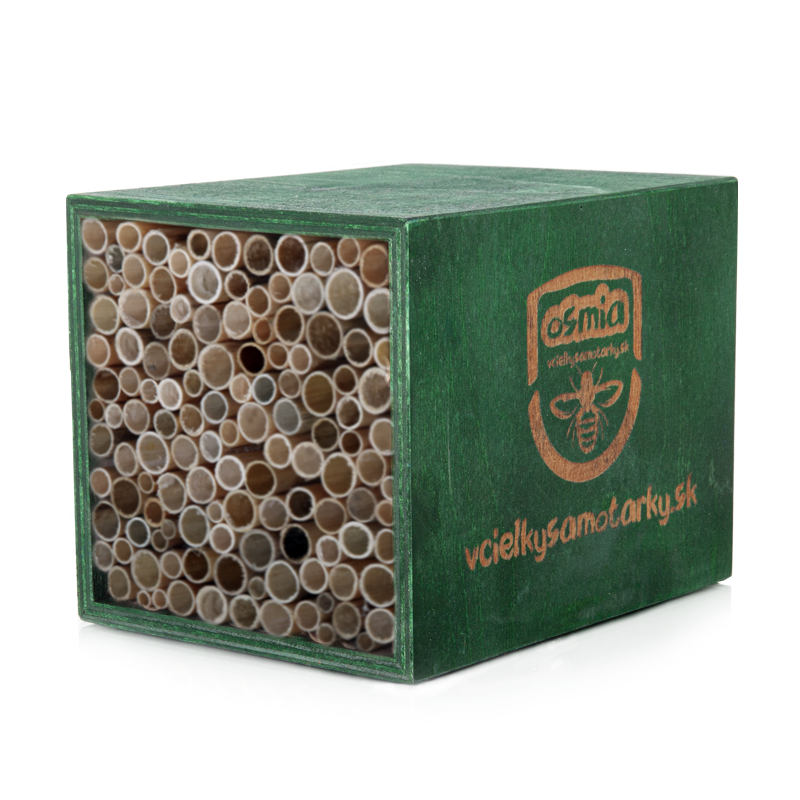 Bee home XS Klasik NRT