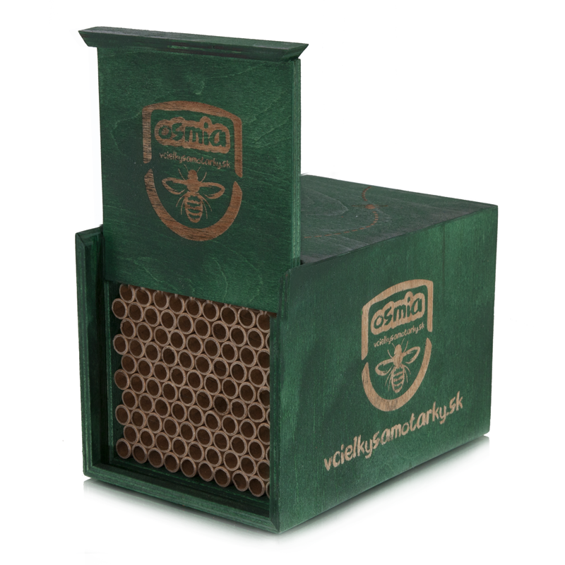 Bee home S Deluxe NPT