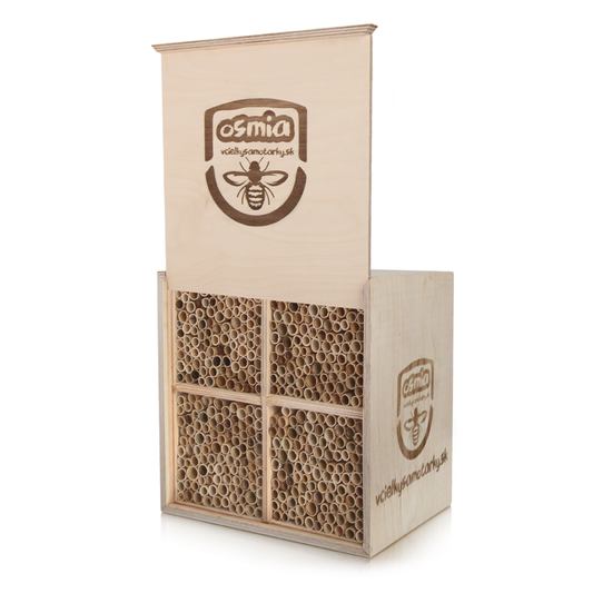 Bee home L Klasik 