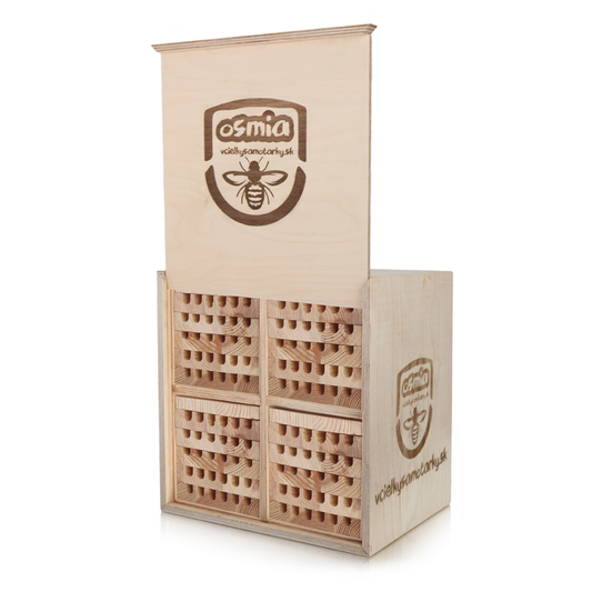 Bee home L Klasik 