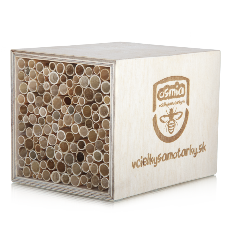Bee home XS Klasik NRT