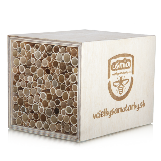 Bee home XS Klasik NRT