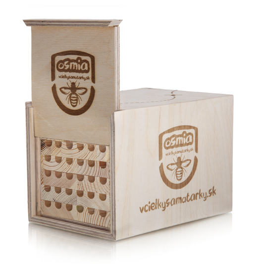 Bee home S Deluxe NWB