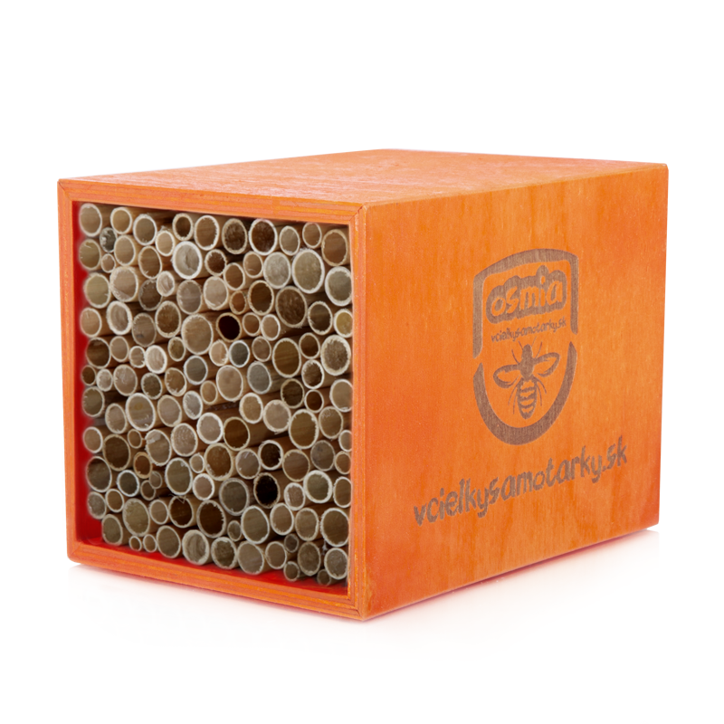 Bee home XS Klasik NRT