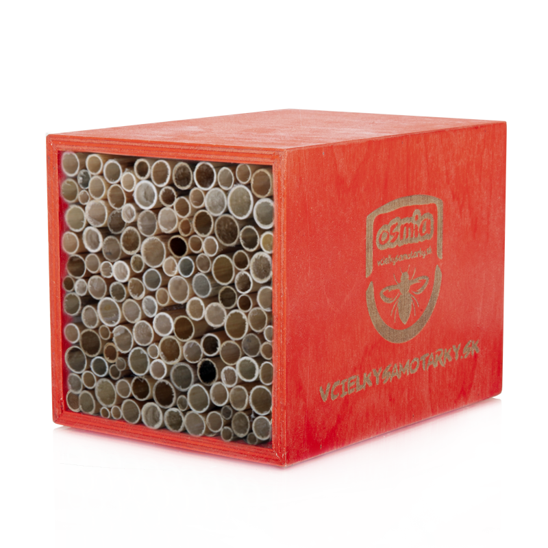 Bee home XS Klasik NRT