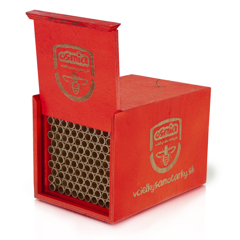 Bee home S Deluxe NPT